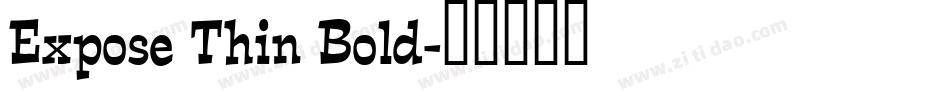 Expose Thin Bold字体转换